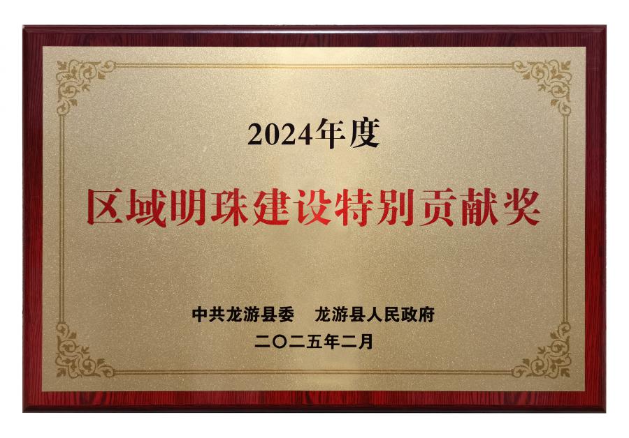 2024區(qū)域明珠建設(shè)特別貢獻(xiàn)獎.jpg